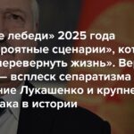 Die „schwarzen Schwäne“ des Jahres 2025 seien „unglaubliche Szenarien“, die „Leben verändern könnten“. Politico-Version – ein Aufschwung des Separatismus in den USA, der Sturz Lukaschenkos und der größte Cyberangriff der Geschichte